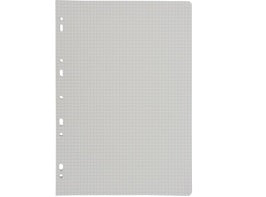 50 SIMPLE A4 PUNCHED SHEETS (#126120)