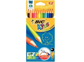 12 EVOLUTION COLOUR PENCILS (#126408)