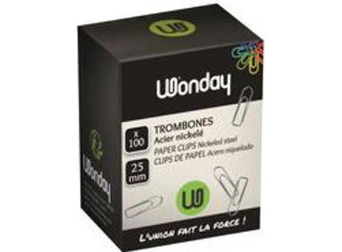 100 PAPERCLIPS 25MM (#126209)
