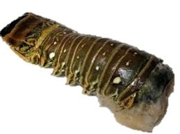 ROCK LOBSTER TAIL 350G (#122296)