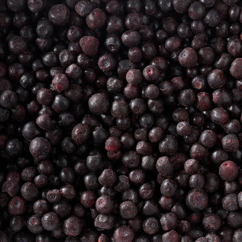 IQF BLUEBERRY (WILD) 8527 1KG (#50460)