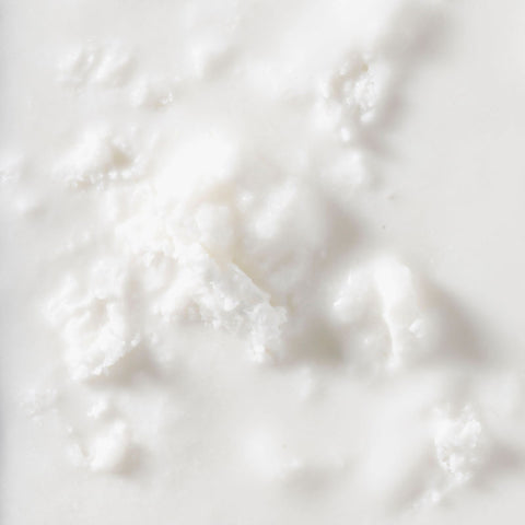 FROZEN COCONUT PUREE 8025 1KG (#50490)