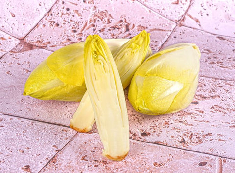 WHITE CHICORY 500G (#120749)