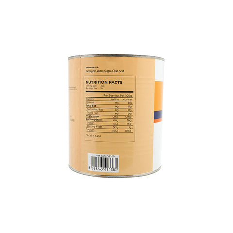 PINEAPPLE TIDBITS IN SYRUP 3035G (#58160)
