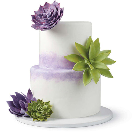 CUTOUT SUCCULEN CUTTERS 9PCS 417-2577 (#65603)