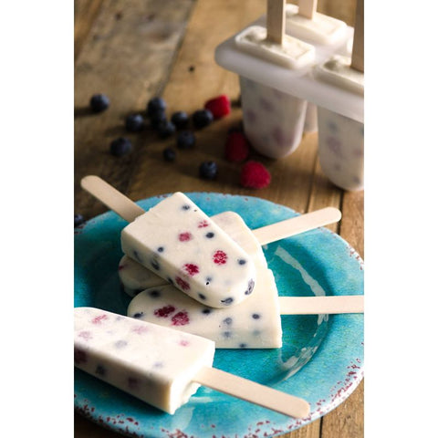 WHEY PROTEIN CONCENTRATE 12OZ (#66139)