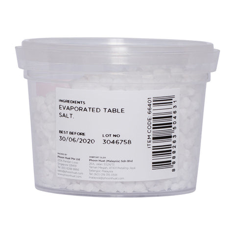 COARSE SALT 100G (#66401)