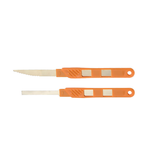 SCOURING KNIFE 55MM BLADE 2PC (#66479)