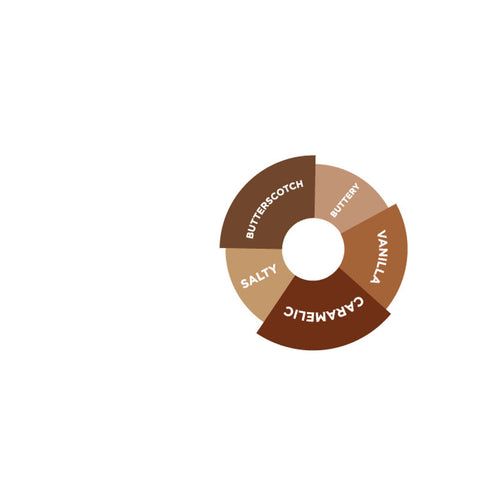 SAUCE CARAMEL SALTED 2L (#66524)