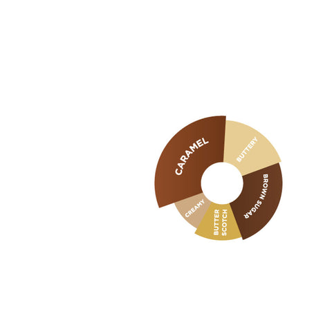 SAUCE CARAMEL 2L (#66529)