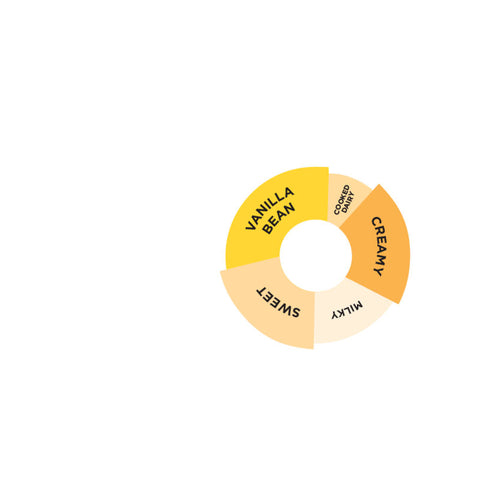 VANILLA BEAN MADAGASCAR SAUCE 2L (#66692)