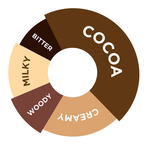 CHOCOLATE SYRUP 750ML (#66702)