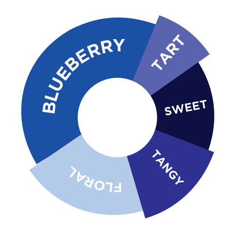 FRUITY BLUEBERRY SYRUP 750ML (#66712)