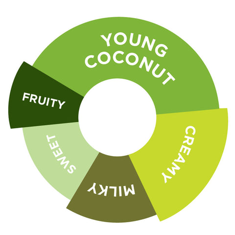 COCONUT SYRUP 750ML (#66713)