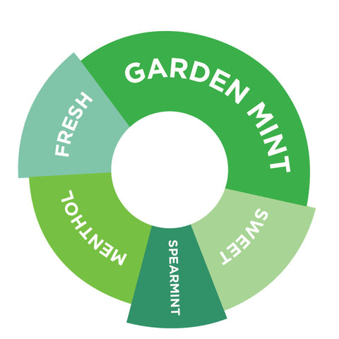 MINT SYRUP 750ML (#66726)