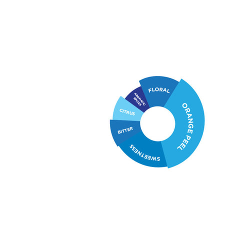 BLUE OCEAN FLAVOURED SYRUP 750ML (#66733)