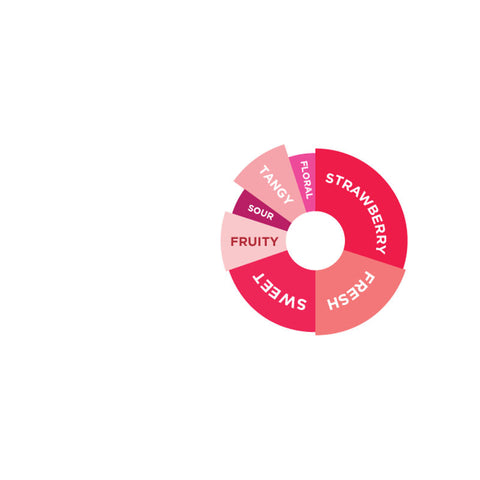 EUROPEAN STRAWBERRY FLAVOURED SYRUP 750ML (#66735)