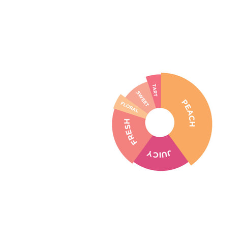 PEACH GARDEN FLAVOURED SYRUP 750ML (#66740)