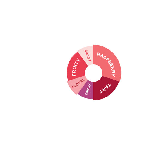 RHAPSODY RASPBERRY FLAVOURED SYRUP 750ML (#66741)