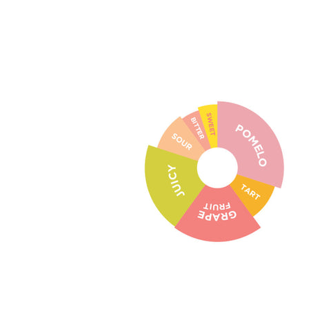 POMELO GRAPEFRUIT FLAVOURED SYRUP 750ML (#67058)