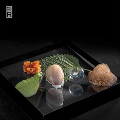 R-EVOLUTION FOOD STYLING KIT (#67369)
