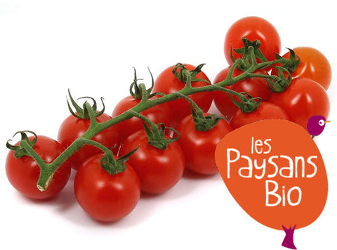 ORGANIC CHERRY TOMATOES 500G+/- (#123144)