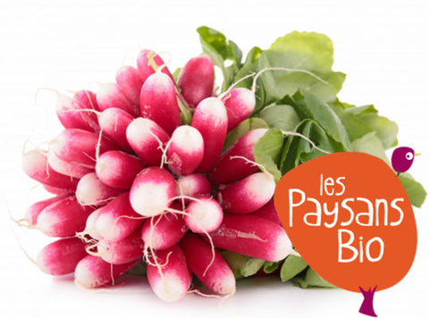 ORGANIC RADISHES (#123128)