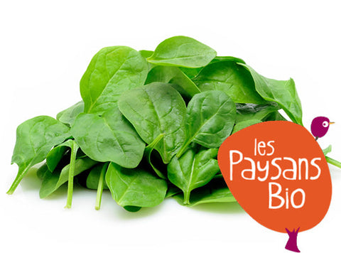 ORGANIC BABY LETTUCE 0.125KG+/- (#123642)