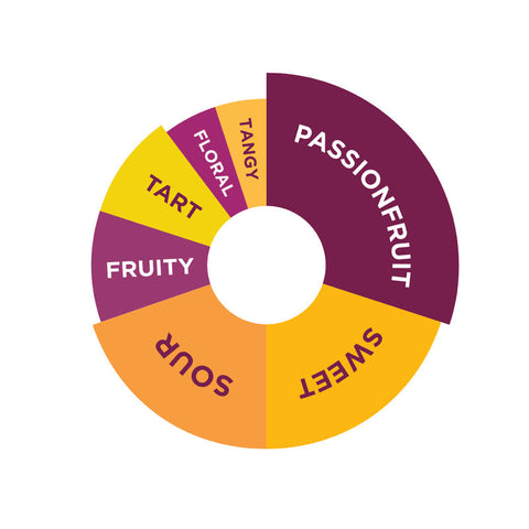 PASSIONFRUIT FRUIT MIX 1L (#68012)