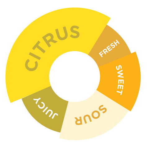 LEMONADE SYRUP 1L (#68018)