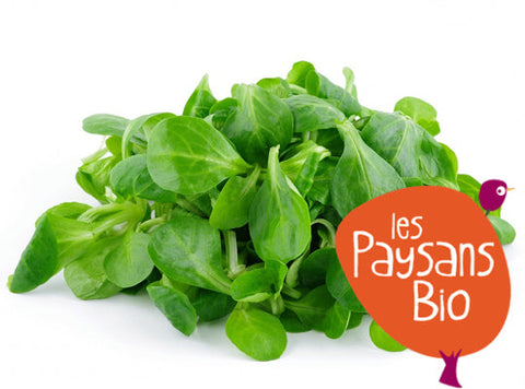 ORGANIC LAMBS LETTUCE 0.2KG+/- (#123120)