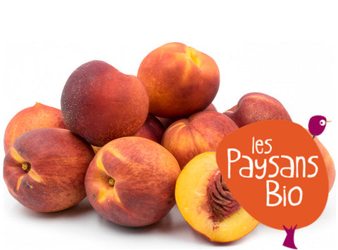 ORGANIC NECTARINE 1KG (#123166)