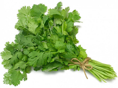 CORIANDER 50G (#121119)