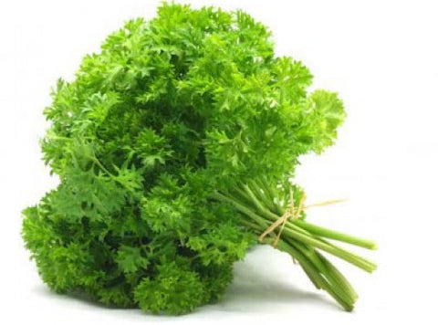 ENGLISH PARSLEY 50G (#121117)