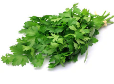 ITALIAN PARSLEY 25G (#121120)