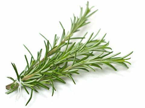ROSEMARY 25G (#121125)