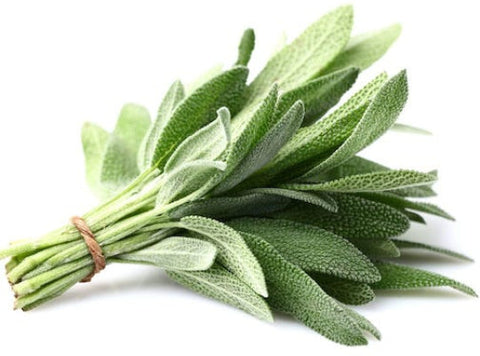 SAGE 25G (#121130)