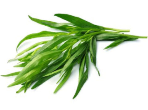 TARRAGON 25G (#121123)