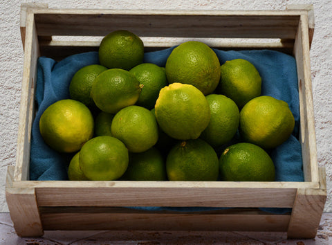 SEEDLESS LIME 6PC (#123016)