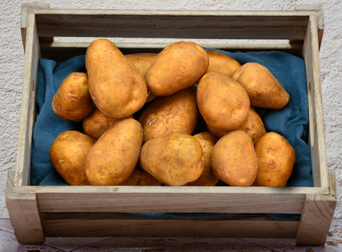 POTATO RATTE 1KG (#123064)