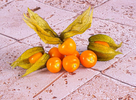 PHYSALIS 100G (#121115)