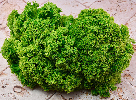 CORAL GREEN LETTUCE 300G (#123102)