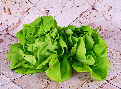 BUTTERHEAD LETTUCE 250G (#121093)