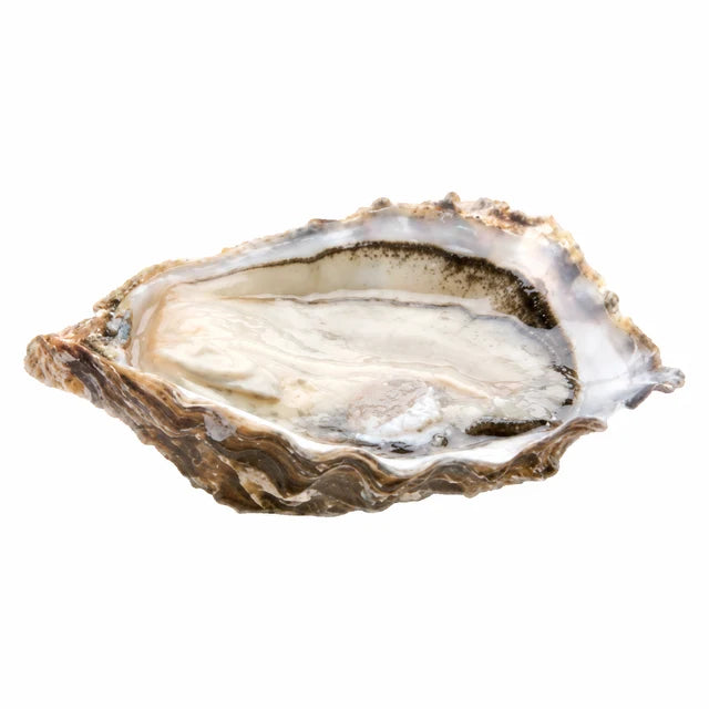SPECIAL CLAIRE OYSTERS NO2 24PC (GRAND CRU) (