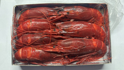 FRZ CARABINERO PRAWN S1 (8/10)BUBA CAMARON (#80382)