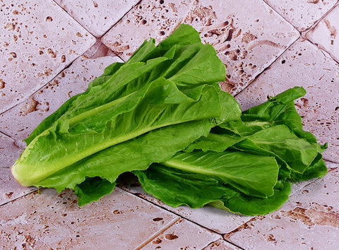 ORGANIC ROMAINE LETTUCE 200G (#125919)