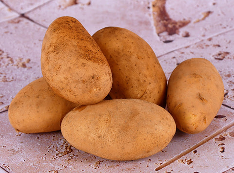 ORGANIC POTATO 400G (#125868)