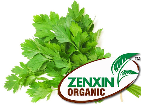ORGANIC ENGLISH PARSLEY 15G (#125980)