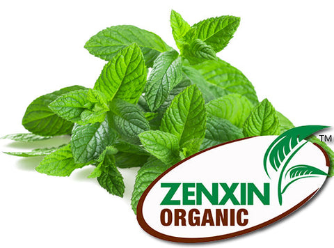 ORGANIC CORIANDER 35G (#125977)
