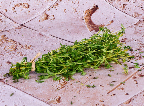 ORGANIC THYME 15G (#125986)